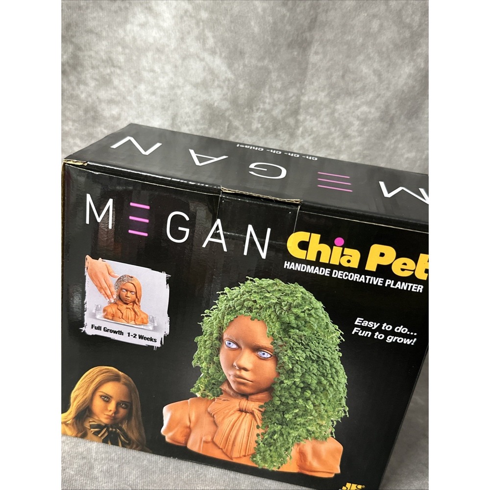 MEGAN Ch-Ch-Ch- Chia! Chia Pet Handmade Decorative Planter